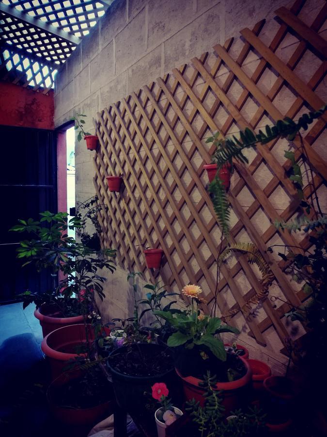 Hotel Casa كويتزالتنانغو المظهر الخارجي الصورة